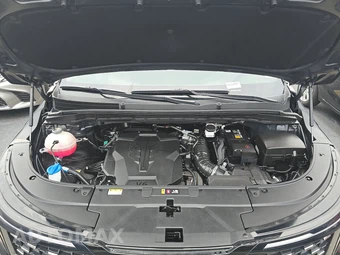 2025 Kia Carnival MPV SX 121.7" WB - miniatura 16