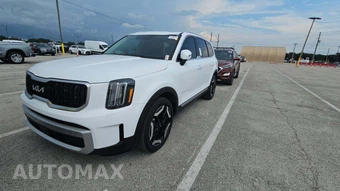 2025 Kia Telluride EX - miniatura 19