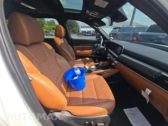 2025 Kia Telluride EX X-Pro - miniatura 19