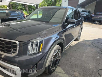 2025 Kia Telluride S - car from the USA, Manheim Buy-Now listing at AUTOMAX