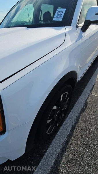 2025 Kia Telluride SX - miniatura 22