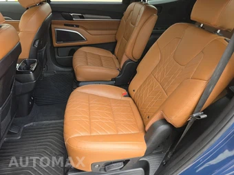 2025 Kia Telluride SX Prestige X-Pro - miniatura 30