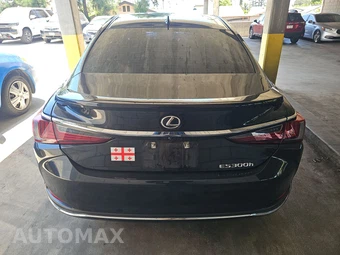2025 Lexus ES 300h – miniatura 5