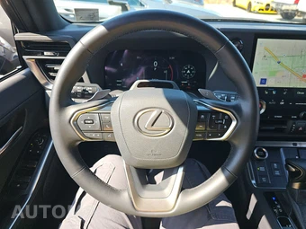 2025 Lexus GX 550 Premium+ - miniatura 10