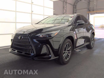 2025 Lexus NX 250