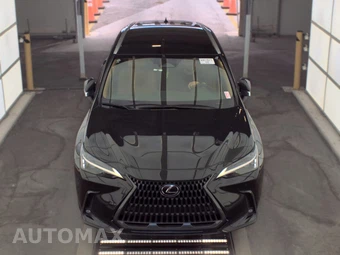 2025 Lexus NX 250 – miniatura 2