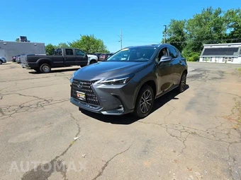 2025 Lexus NX 250
