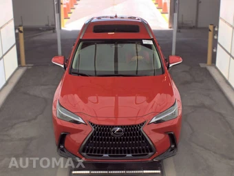 2025 Lexus NX 250 Premium – miniatura 2