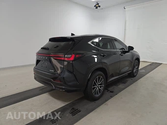 2025 Lexus NX 250 Premium – miniatura 4