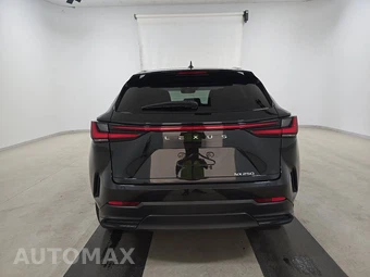 2025 Lexus NX 250 Premium – miniatura 5