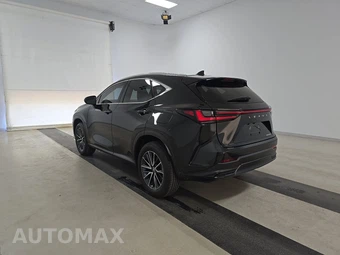 2025 Lexus NX 250 Premium – miniatura 6