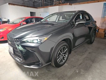 2025 Lexus NX 250 Premium