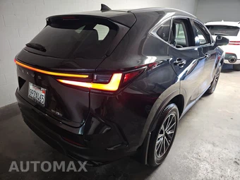 2025 Lexus NX 250 Premium – miniatura 4
