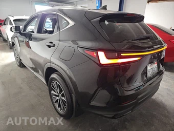 2025 Lexus NX 250 Premium – miniatura 6