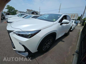 2025 Lexus NX 350