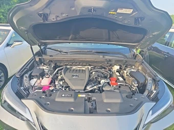 2025 Lexus NX 350 – miniatura 19