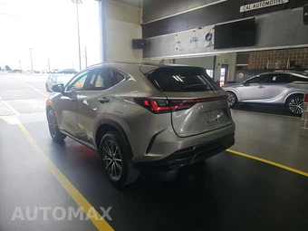 2025 Lexus NX 350 Premium – miniatura 6