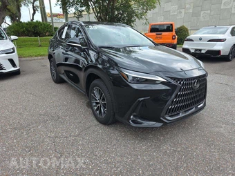 2025 Lexus NX 350h Luxury - miniatura 4
