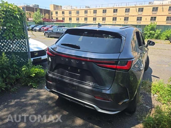 2025 Lexus NX 450h+ F SPORT Handling - miniatura 3