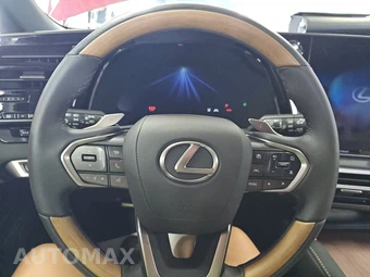 2025 Lexus RX 350 Premium - miniatura 10