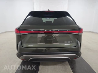 2025 Lexus RX 350 Premium Plus - miniatura 5