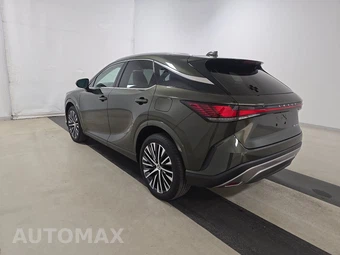 2025 Lexus RX 350 Premium Plus - miniatura 6