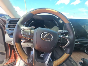 2025 Lexus RX 350 Premium Plus - miniatura 10