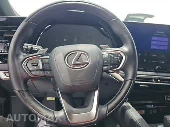 2025 Lexus RX 350 Premium Plus - miniatura 10