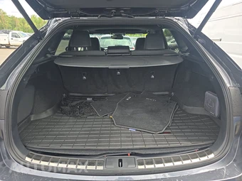 2025 Lexus RX 350h Premium Plus - miniatura 16