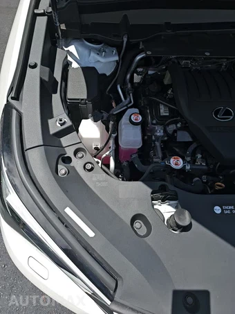 2025 Lexus TX 350 F SPORT Handling - miniatura 24