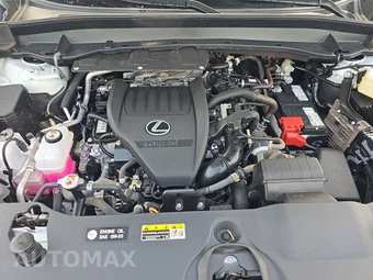 2025 Lexus TX 350 Premium - miniatura 16