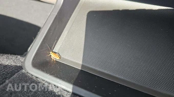 2025 Porsche Taycan 4S - miniatura 19