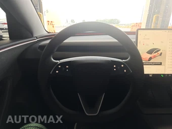2025 Tesla Model 3 Long Range - miniatura 10