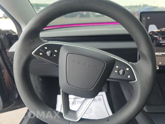 2025 Tesla Model 3 Standard - miniatura 10