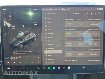 2025 Tesla Model 3 Standard - miniatura 12