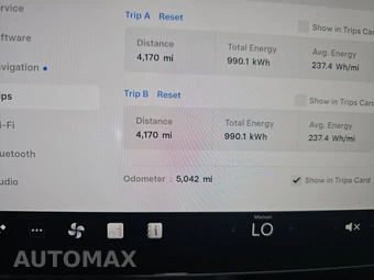 2025 Tesla Model 3 Standard - miniatura 12