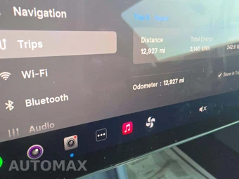 2025 Tesla Model 3 Standard - miniatura 6