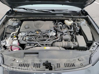 2025 Toyota Camry LE - miniatura 22