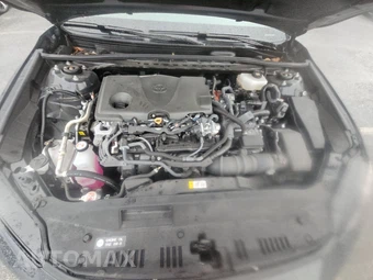 2025 Toyota Camry XLE - miniatura 15