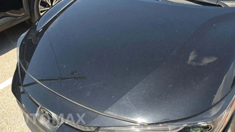 2025 Toyota Corolla LE Sedan - miniatura 23