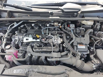 2025 Toyota Prius LE - miniatura 15