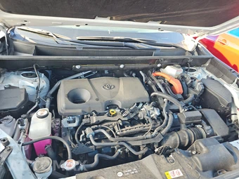 2025 Toyota RAV4 Hybrid LE - miniatura 16