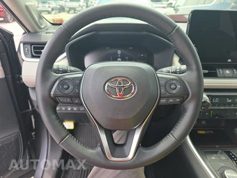 2025 Toyota RAV4 Hybrid Limited - miniatura 10
