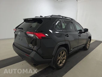 2025 Toyota RAV4 Hybrid Woodland - miniatura 4