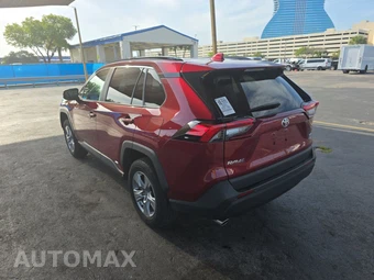 2025 Toyota RAV4 Hybrid XLE - miniatura 6