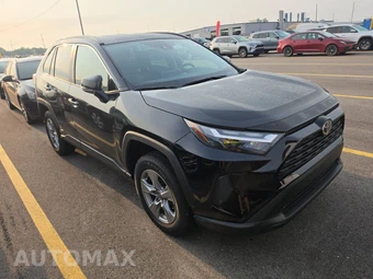 2025 Toyota RAV4 Hybrid XLE - miniatura 3