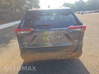 2025 Toyota RAV4 Hybrid XLE - miniatura 5