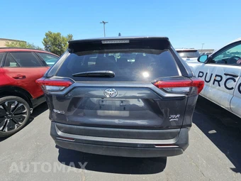 2025 Toyota RAV4 XLE – miniatura 5