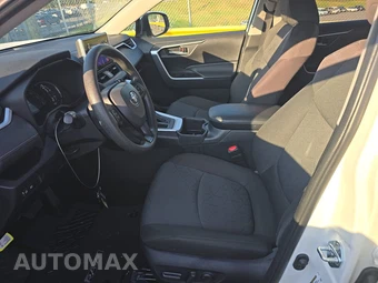 2025 Toyota RAV4 XLE – miniatura 13