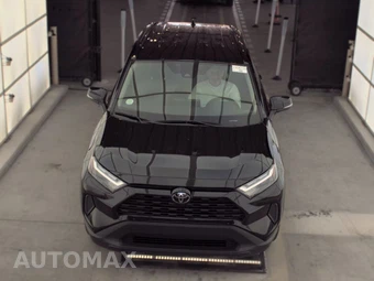 2025 Toyota RAV4 XLE - miniatura 2